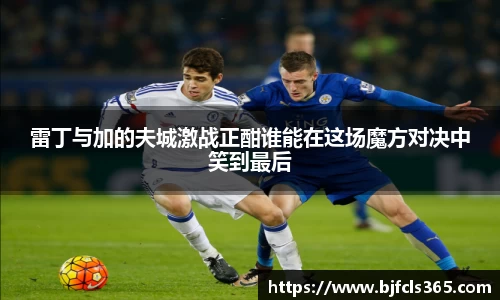 beats365雷丁与加的夫城激战正酣谁能在这场魔方对决中笑到最后